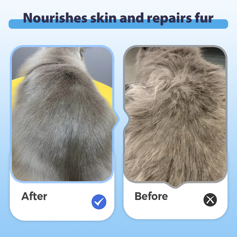 Gentle Fresh All-in-One Pet Shampoo